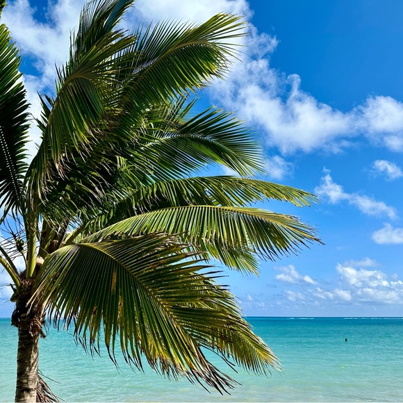 Meet your Posher, Andy - Picture 1 of 2